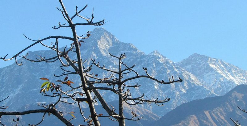 Seasons of Osho Nisarga