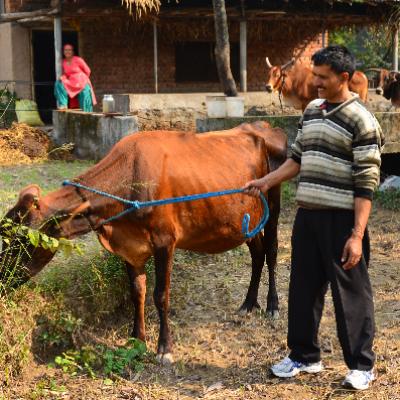 Organic Food 14