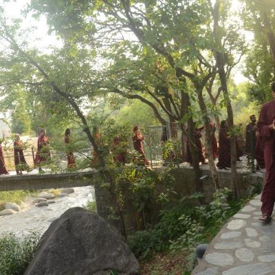 Ma Neelam Ashthi Visarjan 15