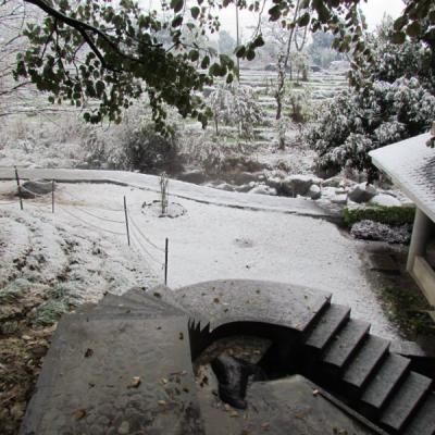First Snow 5
