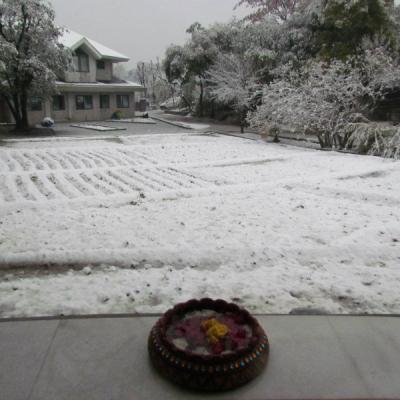 First Snow 6