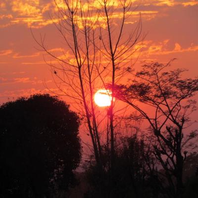 Landscapes 5